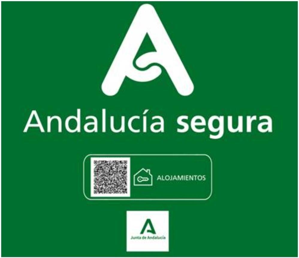 Todosierranevada Zona Baja - Edificio Alhambra - Junto A Los Telecabinas Serra Nevada Exterior foto